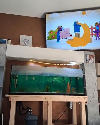 Acquario 450 litri