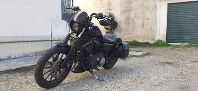 Harley Davidson XL883N Iron