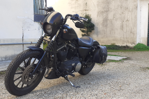 Harley Davidson XL883N Iron