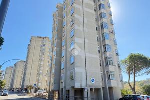 4 LOCALI A POTENZA