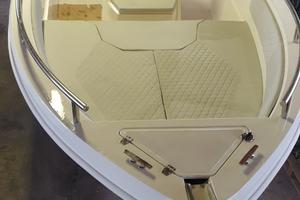 Teorema 20 completa e Mercury 80hp 4tempi