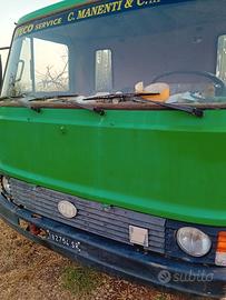 Camion con gru
