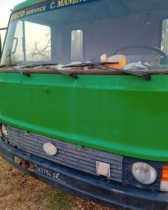 Camion con gru