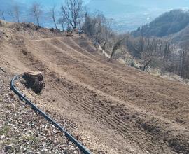 Vendo terreno agricolo