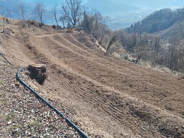 Vendo terreno agricolo