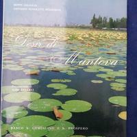 Libro "Desir di Mantova"