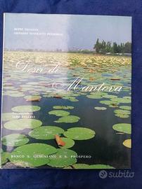 Libro "Desir di Mantova"