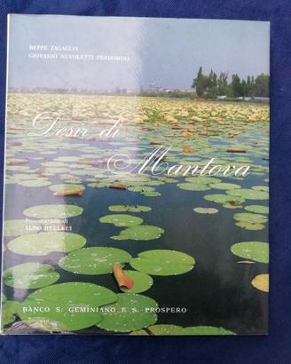 Libro "Desir di Mantova"