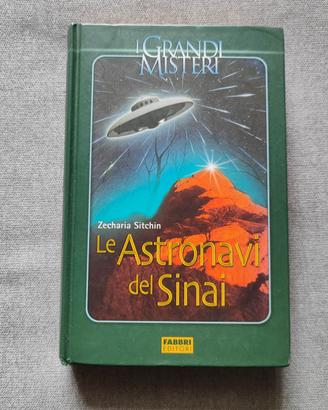 le astronavi del Sinai - zecharia sitchin 