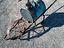 Immagine 6