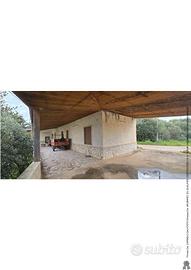 RGE 6/2024 Trib Trapani