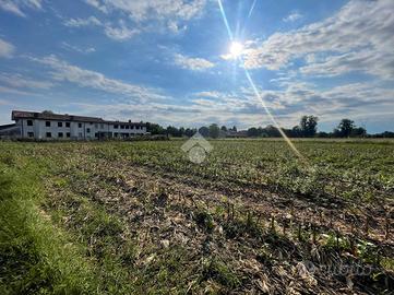 TER. AGRICOLO A CITTADELLA
