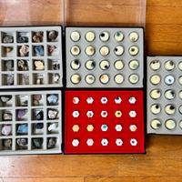 Collezione di minerali e pietre