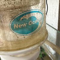 Schiumatoio New Ocean