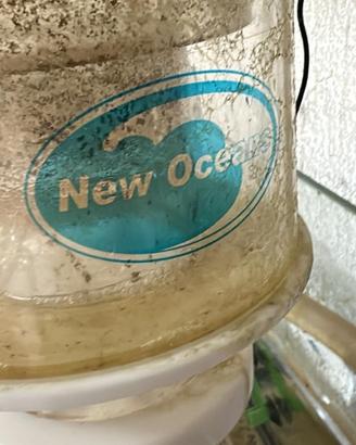 Schiumatoio New Ocean