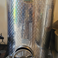 Serbatoio acciaio inox per vino da 800L