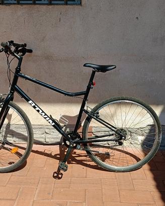 bicicletta da passeggio 
