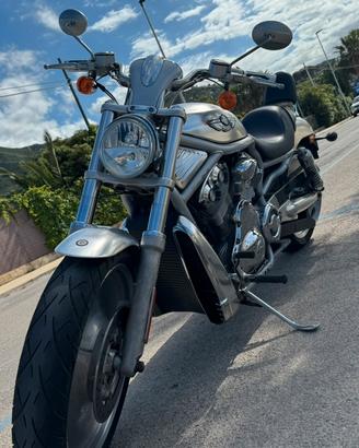 Harley davidson v-rod centenario