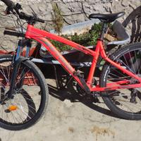 Bicicletta