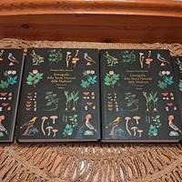 Iconografia della Storia Naturale delle Madonie