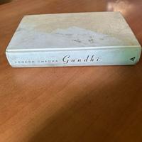 Libro Gandhi Il rivoluzionario disarmato