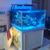 acquario sump mobile