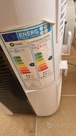 condizionatore portatile sunebo 