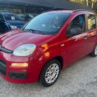 FIAT Panda 1.2 Red Collection