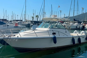 Pursuit 2870 Walkaround