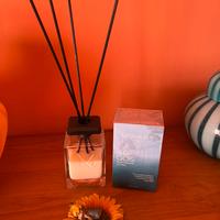 Profumatore per ambienti con bastoncini