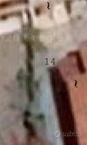 Immobile in asta di 216 m² con 5 locali a Pavone C