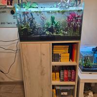 Acquario completo