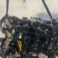 MOTORE COMPLETO FORD Fiesta 6Â° Serie STJB Benzina