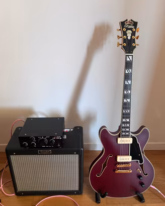 Chitarra Semiacustica D’angelico Deluxe DC wine