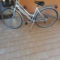Bicicletta Scout donna