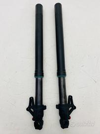 FORCELLE SACHS BENELLI TRE K AMAZONAS