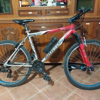 Mountanbike BOTTECCHIA 