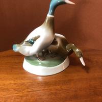 Porcellana ungherese