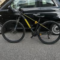 Bici MTB 29
