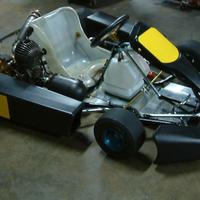 Go Kart PCR 100