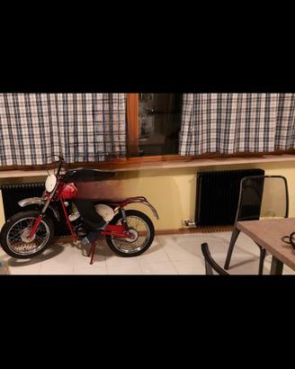 Cimatti minicross 50