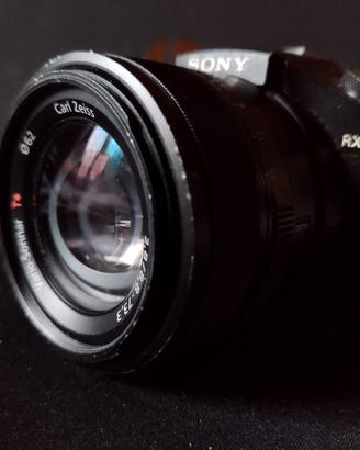 Sony rx10m2  f2.8 24-200mm zeiss