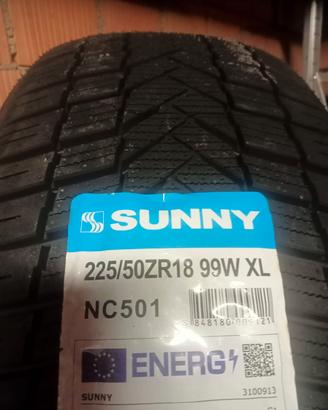 225/50R18 99w 4 stagioni 