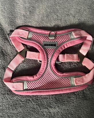 Pettorina per cani piccola rosa regolabile