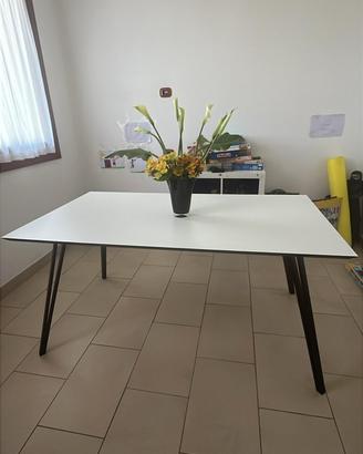 Tavolo modello Evelyn 160x90 ortime condizioni