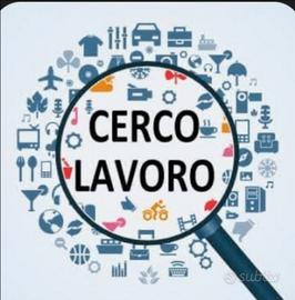 Pulizie ,commessa ecc