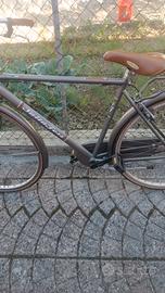 bicicletta da uomo 