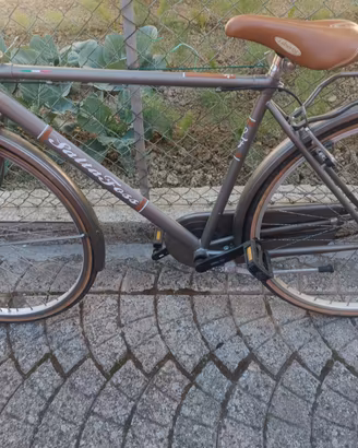 bicicletta da uomo 