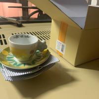 Servizio piatti Thun