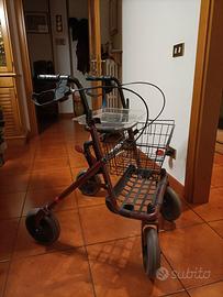 Deambulatore 